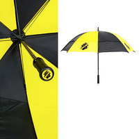 AIK paraply